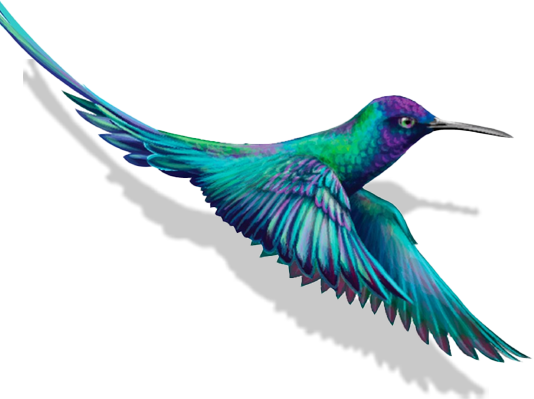 bird-with-shadow